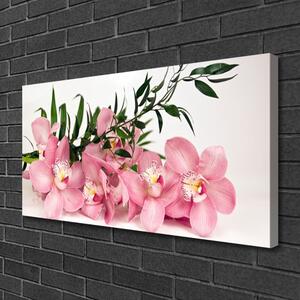 Obraz Canvas Orchidea kvety kúpele 100x50 cm