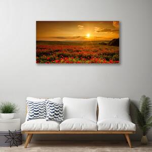 Obraz Canvas Pole maky západ slnka lúka 100x50 cm