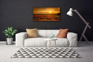 Obraz Canvas Pole maky západ slnka lúka 100x50 cm