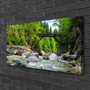 Obraz Canvas Drevený most v lese 100x50 cm