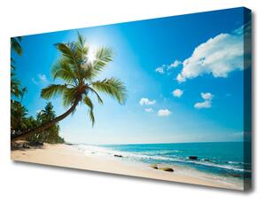 Obraz Canvas Palma strom pláž krajina 100x50 cm