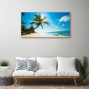 Obraz Canvas Palma strom pláž krajina 100x50 cm