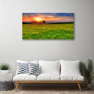 Obraz Canvas Lúka slnko príroda 100x50 cm