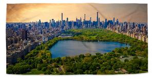 Sablio Uterák New York Central Park - 30x50 cm