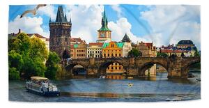 Sablio Uterák Praha Karlov most 2 - 30x50 cm