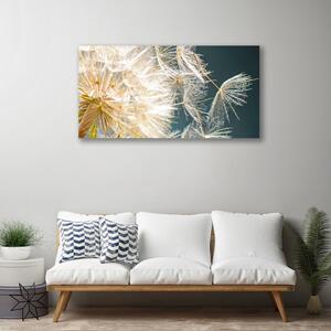 Obraz Canvas Púpava rastlina 100x50 cm