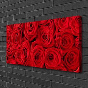 Obraz Canvas Ruže kvety rastlina 100x50 cm