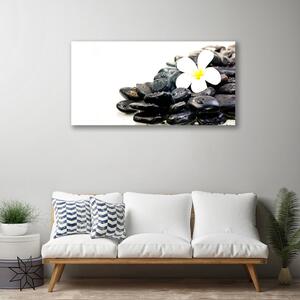 Obraz Canvas Kvety kamene umenie 100x50 cm