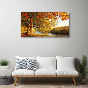 Obraz Canvas Strom jazero príroda 100x50 cm
