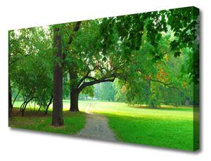 Obraz Canvas Chodník stromy príroda 100x50 cm