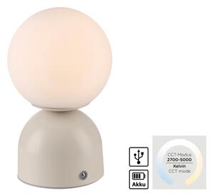 Schöner Wohnen 19218-39 - LED stmievateľná stolná lampa RUDI LED/1,2W/5V šedá
