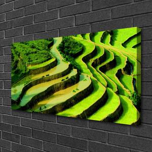 Obraz Canvas Pole ryža les umenie 100x50 cm