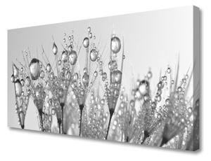 Obraz Canvas Abstrakcie rastlina príroda 125x50 cm