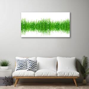 Obraz Canvas Tráva rastlina príroda 100x50 cm
