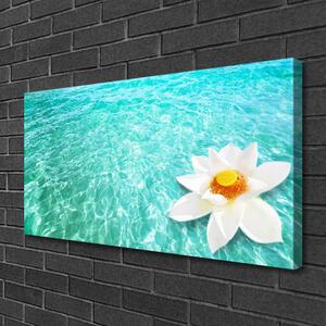 Obraz Canvas Voda kvet umenie 100x50 cm