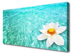 Obraz Canvas Voda kvet umenie 100x50 cm