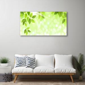 Obraz Canvas Listy príroda rastlina 100x50 cm