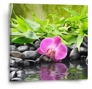 Sablio Obraz Ružová orchidea - 50x50 cm