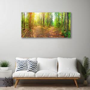 Obraz Canvas Slnko príroda lesné chodník 100x50 cm