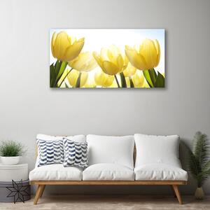 Obraz Canvas Tulipány kvety lúče 100x50 cm
