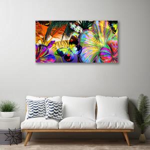 Obraz Canvas Abstrakcie motýle pierka 100x50 cm