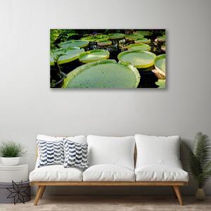 Obraz Canvas Listy jazero príroda 100x50 cm