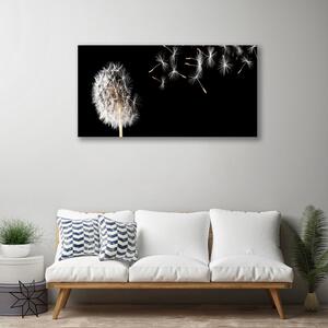 Obraz Canvas Púpava kvet kvapky 100x50 cm