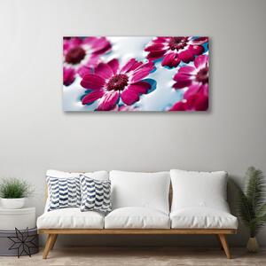 Obraz Canvas Kvety na vode príroda 100x50 cm