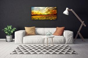 Obraz Canvas Pole slnečníc krajina 100x50 cm