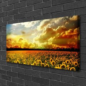 Obraz Canvas Pole slnečníc krajina 100x50 cm