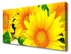 Obraz Canvas Slnečnica kvet príroda 125x50 cm