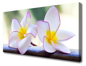 Obraz Canvas Kvety plátky plumérie 125x50 cm