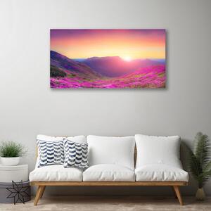 Obraz Canvas Slnko hory lúka príroda 100x50 cm