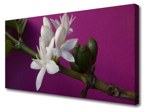 Obraz Canvas Kvety úhonky príroda 125x50 cm