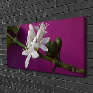 Obraz Canvas Kvety úhonky príroda 100x50 cm
