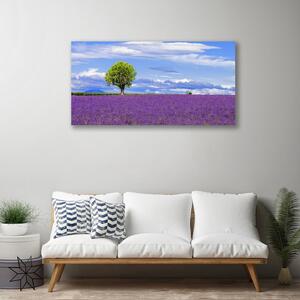 Obraz Canvas Pole levanduľa strom príroda 100x50 cm