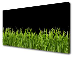 Obraz Canvas Zelená tráva príroda 100x50 cm