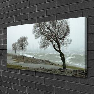 Obraz Canvas More búrka vlny 100x50 cm