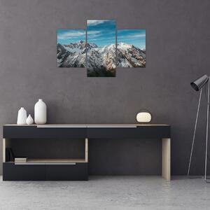 Obraz zasnežených vrcholkov, Fiordland (90x60 cm)