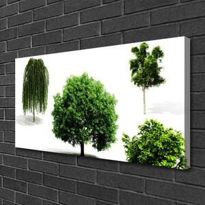 Obraz Canvas Stromy príroda 100x50 cm