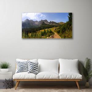 Obraz Canvas Hala góry droga natura łąka 100x50 cm