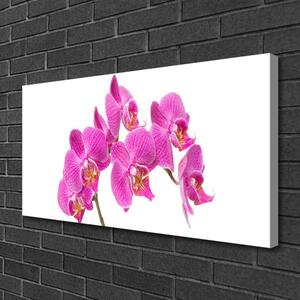 Obraz Canvas Orchidea kvety príroda 100x50 cm