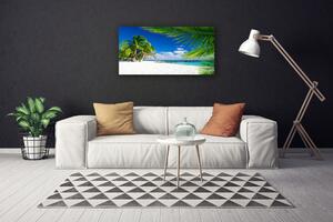 Obraz Canvas Tropická pláž more výhľad 100x50 cm