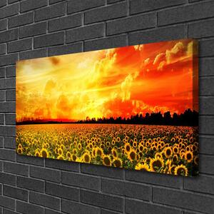 Obraz Canvas Lúka slnečnica kvety 100x50 cm