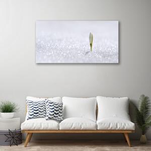 Obraz Canvas Snežienka sneh zima 100x50 cm