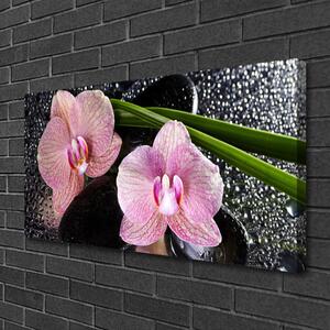 Obraz Canvas Kvety orchidea kamene zen 100x50 cm