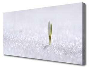 Obraz Canvas Snežienka sneh zima 125x50 cm
