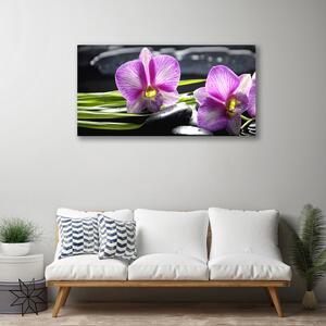 Obraz Canvas Orchidea kamene zen kúpele 100x50 cm