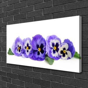 Obraz Canvas Plátky kvet sirôtky 100x50 cm