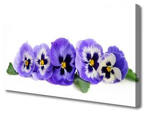 Obraz Canvas Plátky kvet sirôtky 100x50 cm